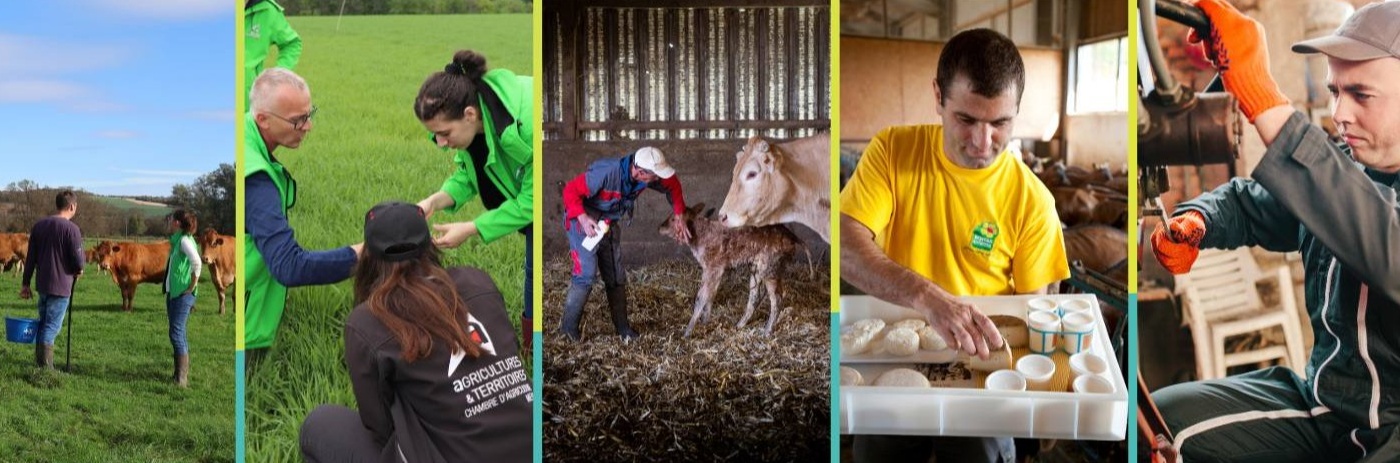 Meuse : stage de seconde dans les métiers agricoles du 15 au 26 juin